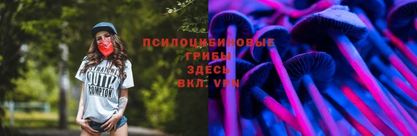 амф Арсеньев