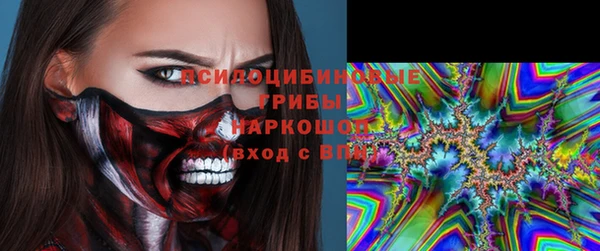 МДПВ Аркадак